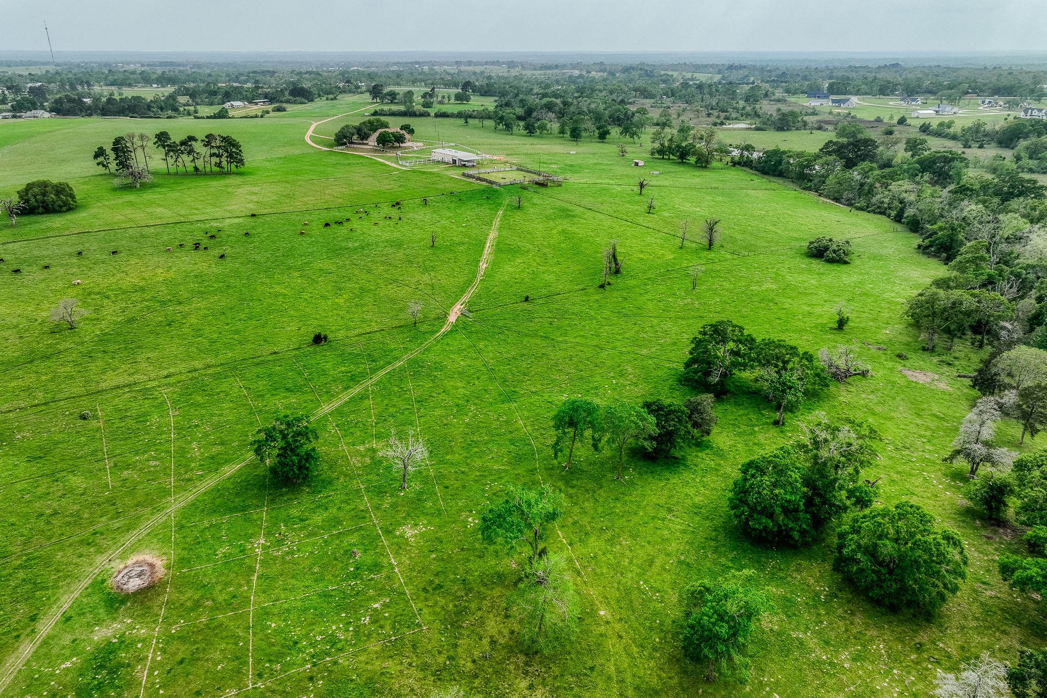 2204 Carter Road Bellville, TX 77418 - Photo 29 of 30 a view of a grassy field with trees