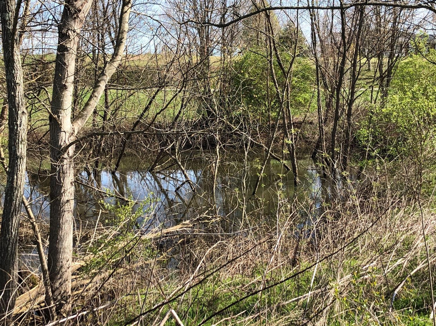 191 Agawam Road Winchester, KY 40391 - Photo 13 of 19 Photo 13