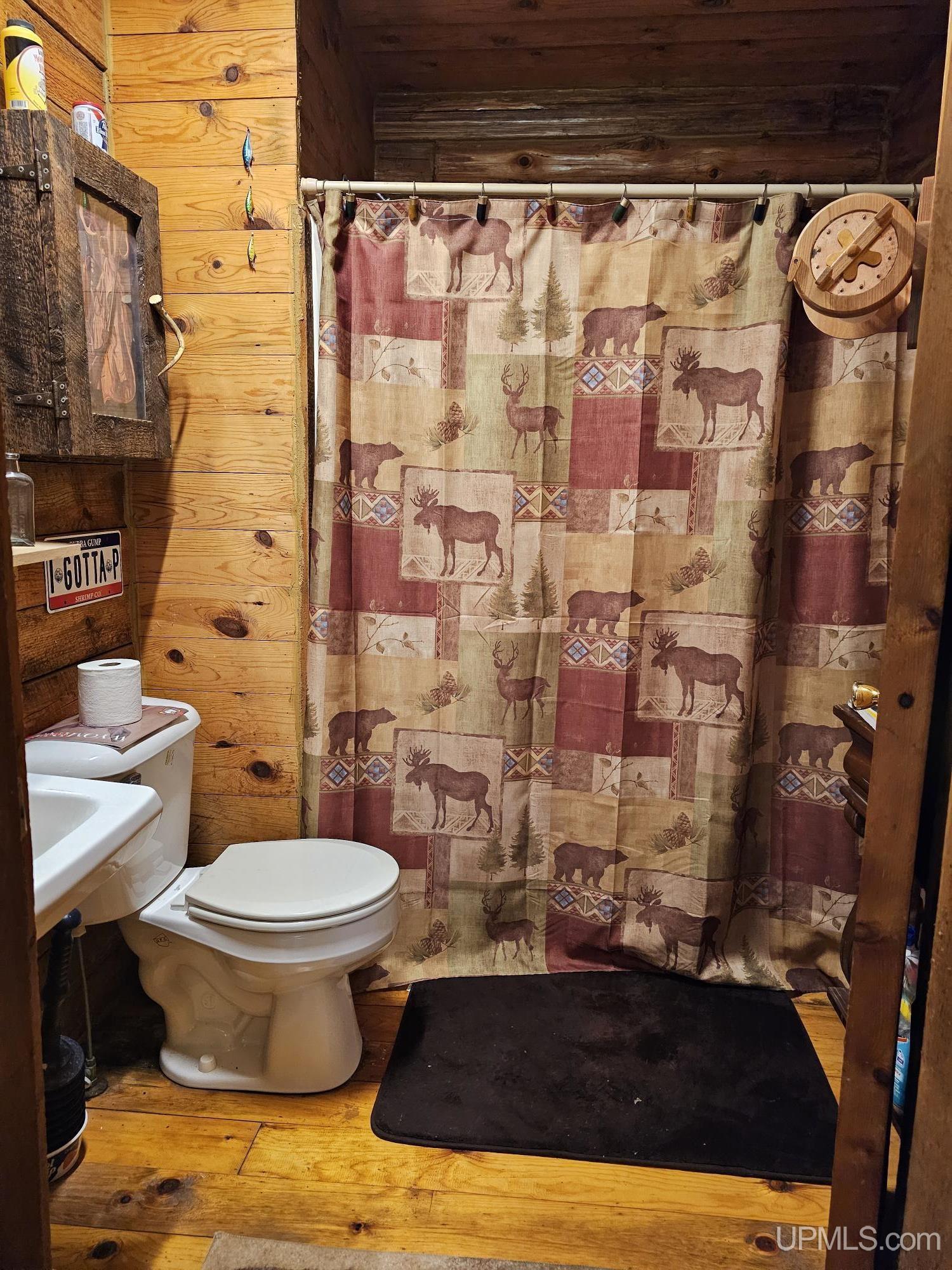 5368 Camp 23 Road Germfask, MI 49836 - Photo 25 of 61 Gallery Image 25