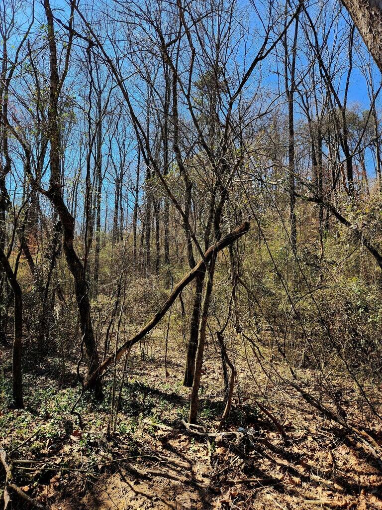 8819 Gann Road, Unit 2 Soddy Daisy, TN 37379 - Photo 12 of 15 8819 2