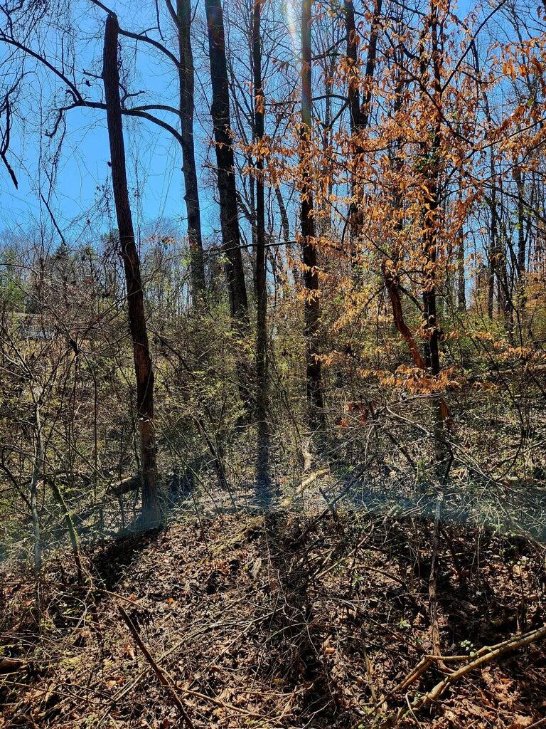 8819 Gann Road, Unit 2 Soddy Daisy, TN 37379 - Photo 13 of 15 8819 3