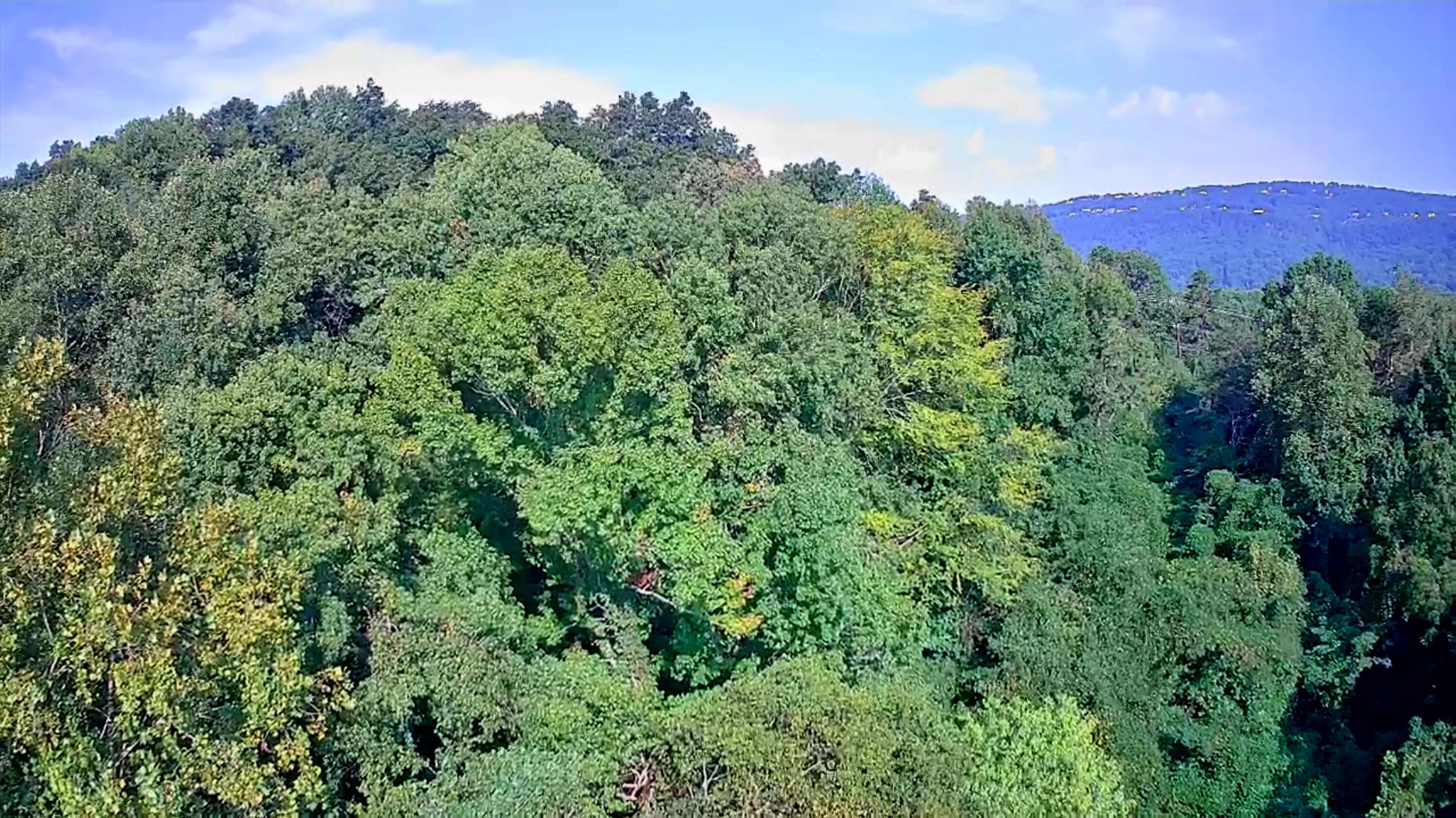 8819 Gann Road, Unit 2 Soddy Daisy, TN 37379 - Photo 15 of 15 Gann Rd 1