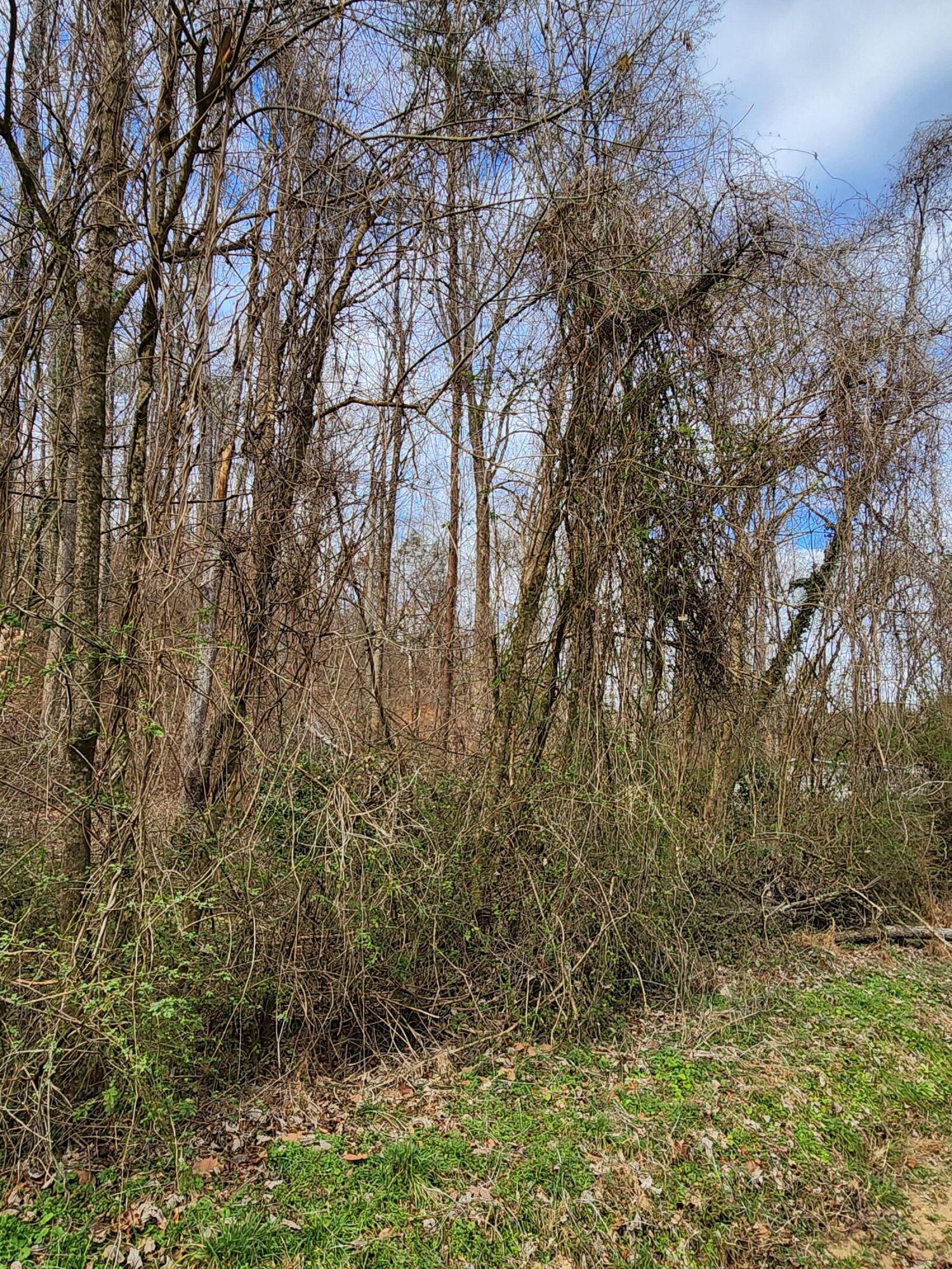 8819 Gann Road, Unit 2 Soddy Daisy, TN 37379 - Photo 4 of 15 20260122_142717