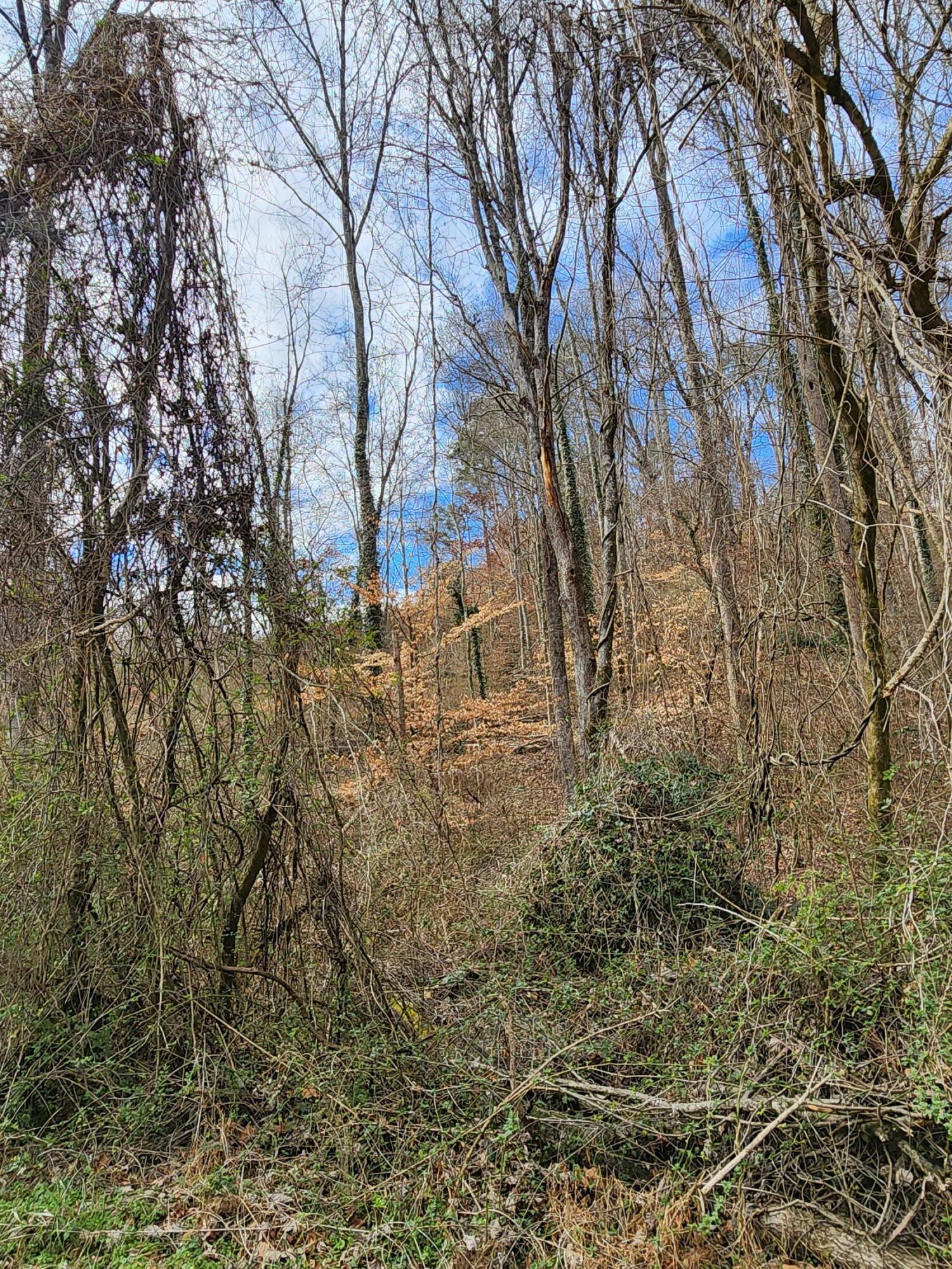 8819 Gann Road, Unit 2 Soddy Daisy, TN 37379 - Photo 6 of 15 20260122_142652