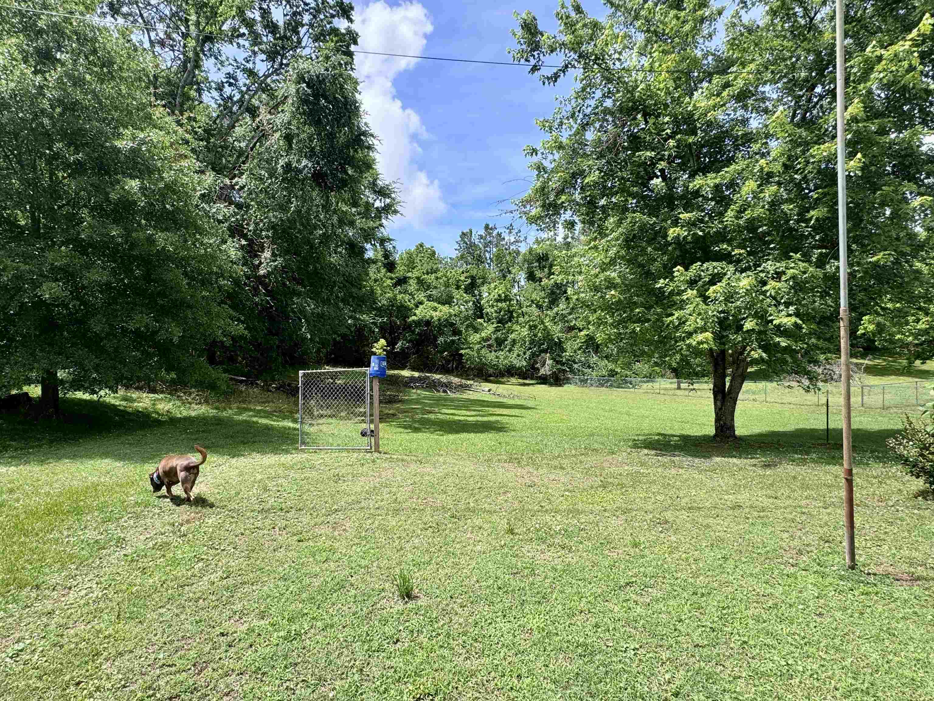 237 Old Shiloh Road Adamsville, TN 38310 - Photo 11 of 11 a swimming pool with wooden fence