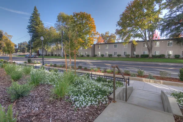 a view of a yard with a tree