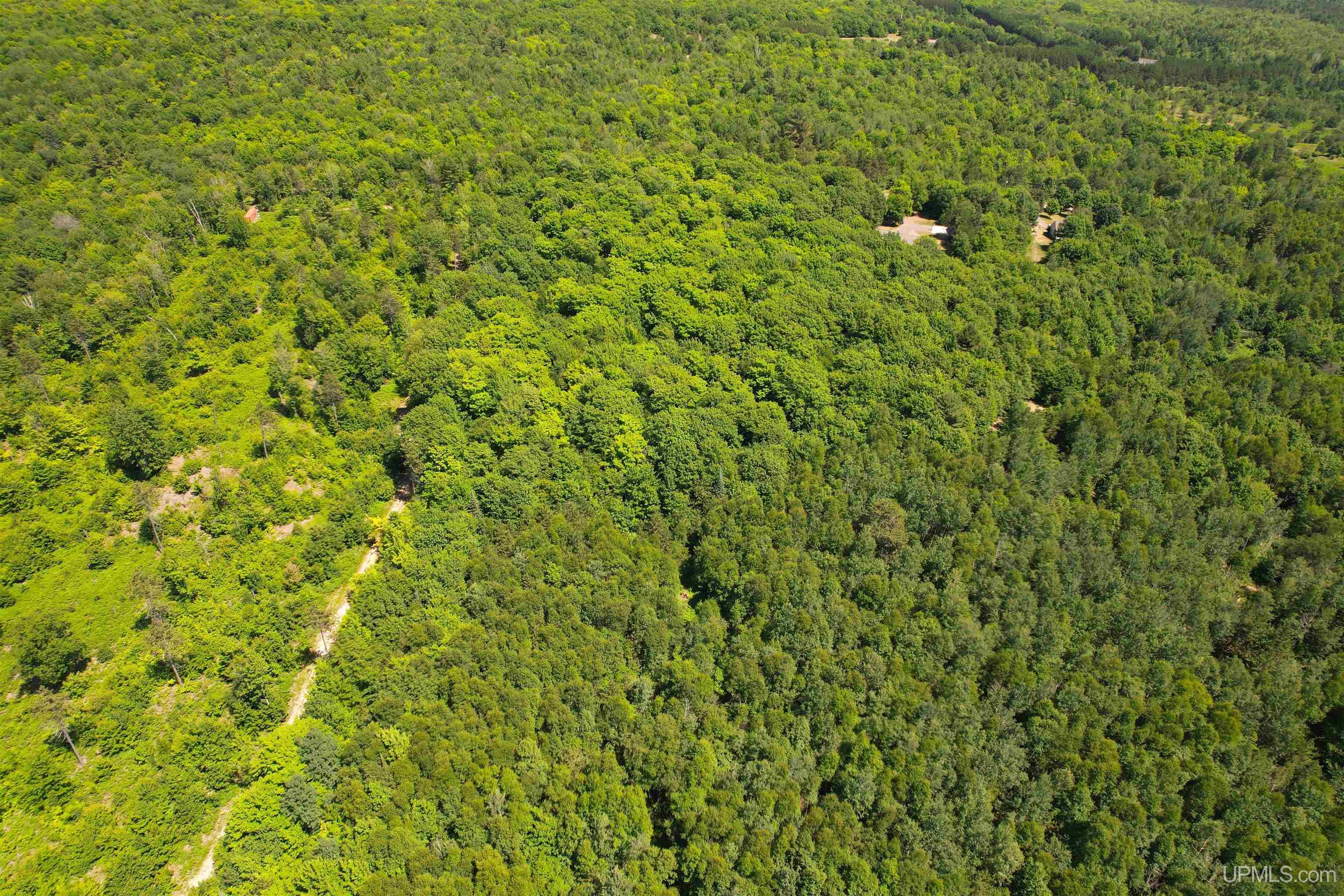 Tbd Superior Shores Road Atlantic Mine, MI 49905 - Photo 19 of 27
