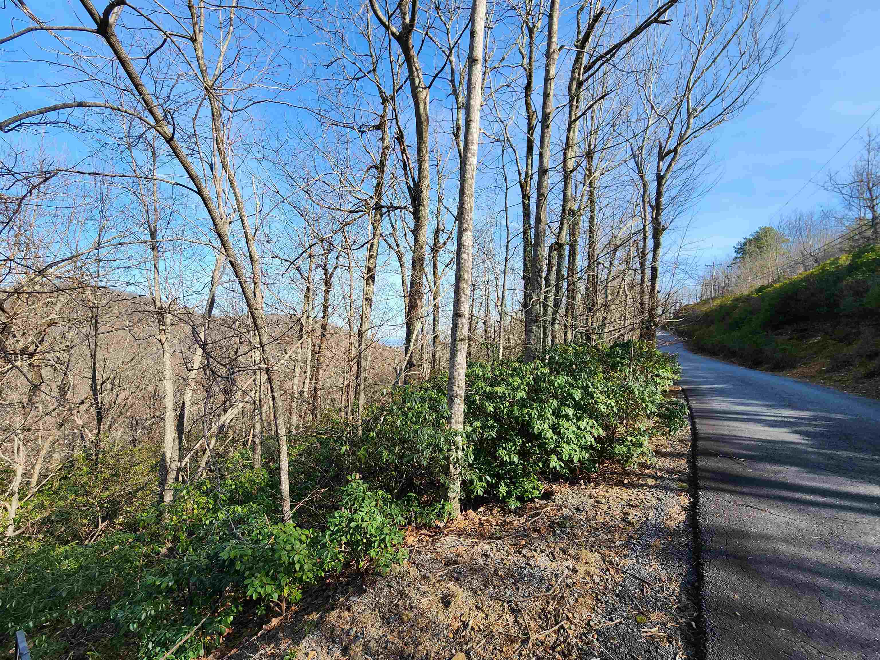 Lot 22 Sunset Ridge Drive Columbus, NC 28722 - Photo 12 of 20