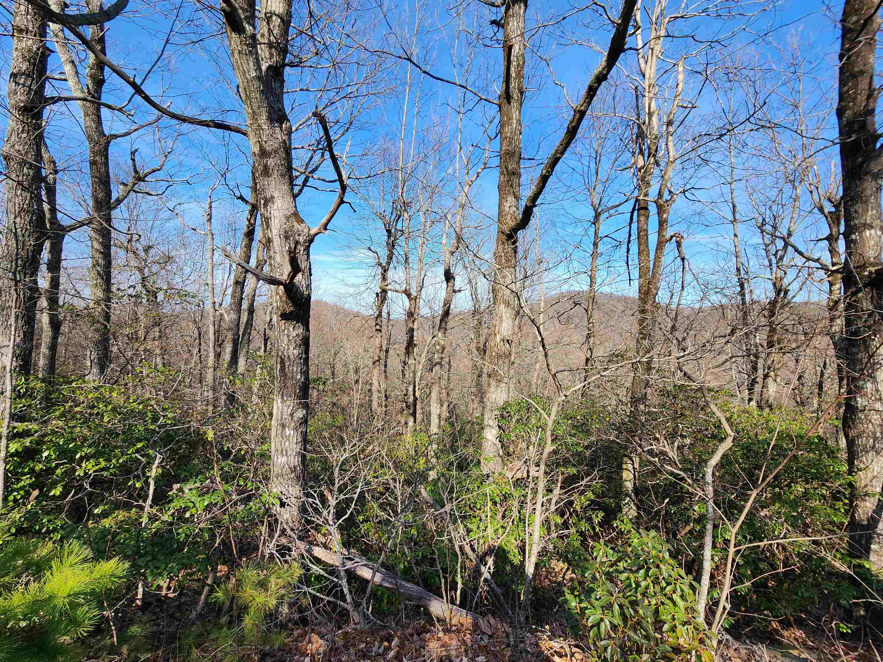 Lot 22 Sunset Ridge Drive Columbus, NC 28722 - Photo 13 of 20