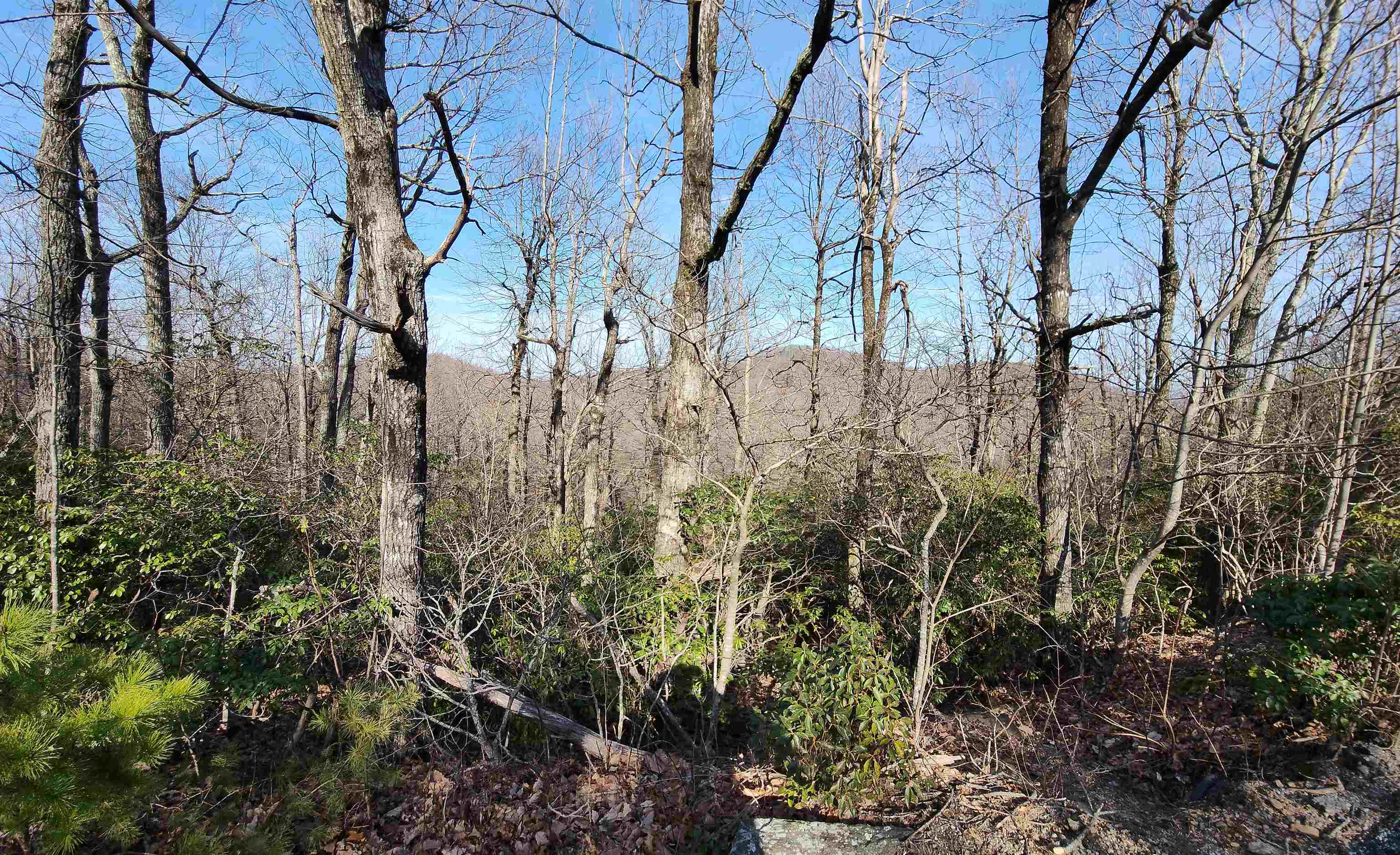 Lot 22 Sunset Ridge Drive Columbus, NC 28722 - Photo 14 of 20