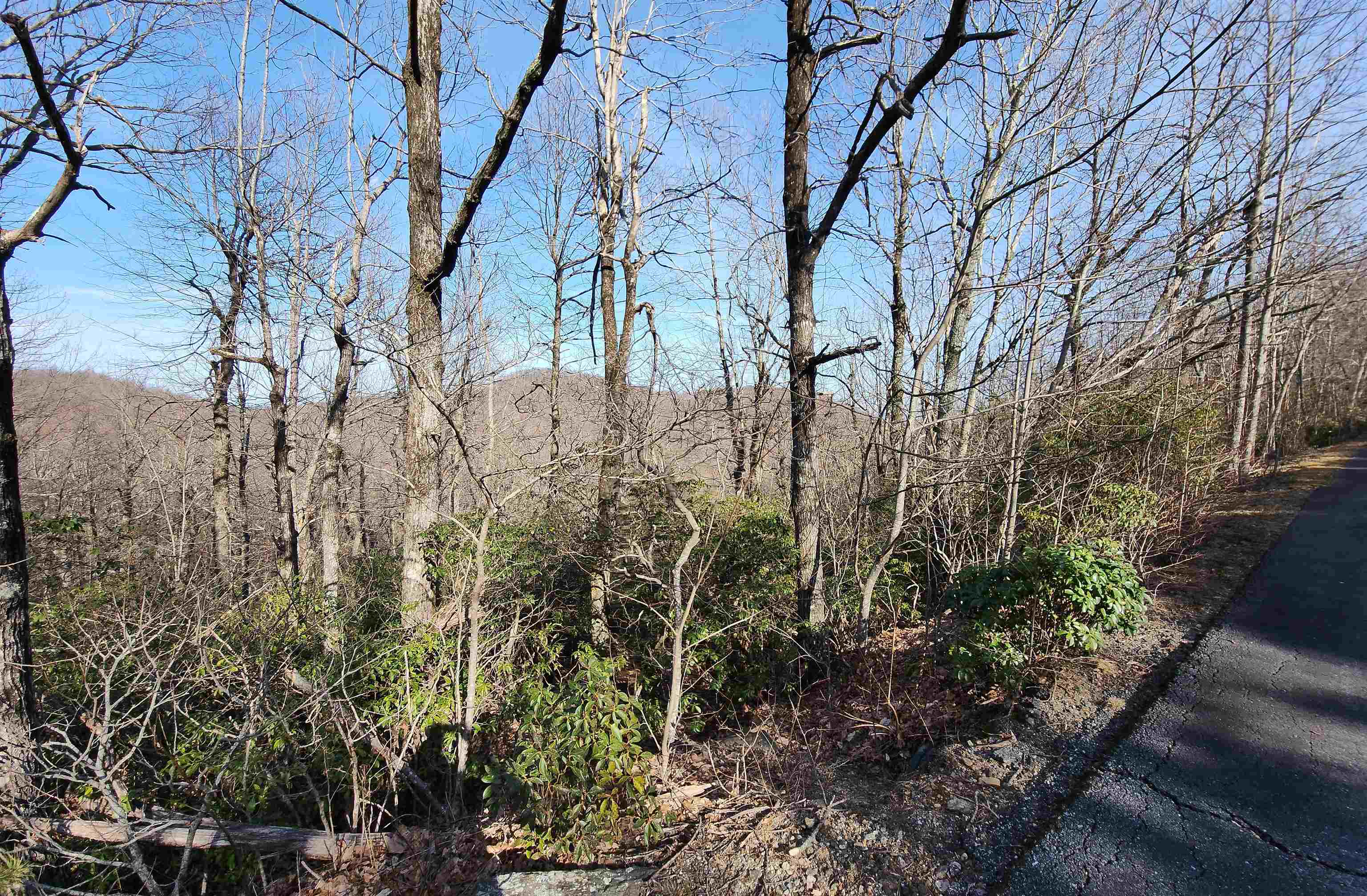 Lot 22 Sunset Ridge Drive Columbus, NC 28722 - Photo 15 of 20