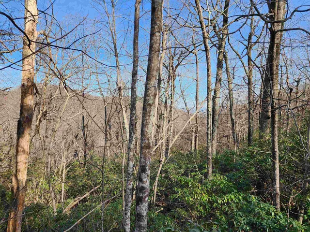 $17,500 | Lot 22 Sunset Ridge Drive, Columbus, NC 28722