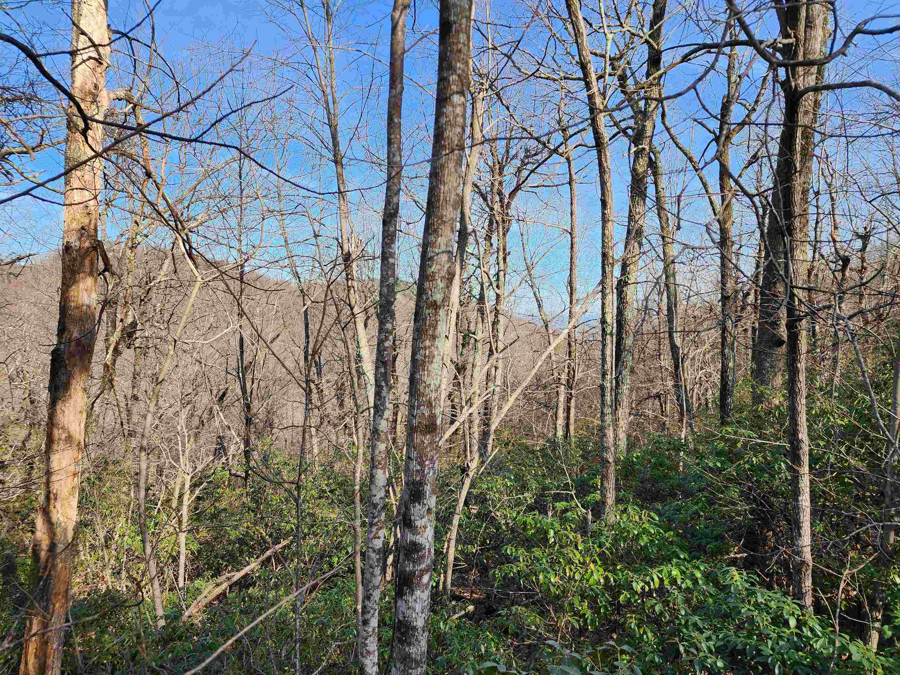 Lot 22 Sunset Ridge Drive Columbus, NC 28722 - Photo 2 of 20