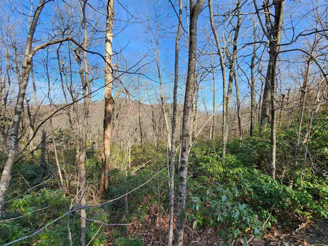 $17,500 | Lot 22 Sunset Ridge Drive, Columbus, NC 28722