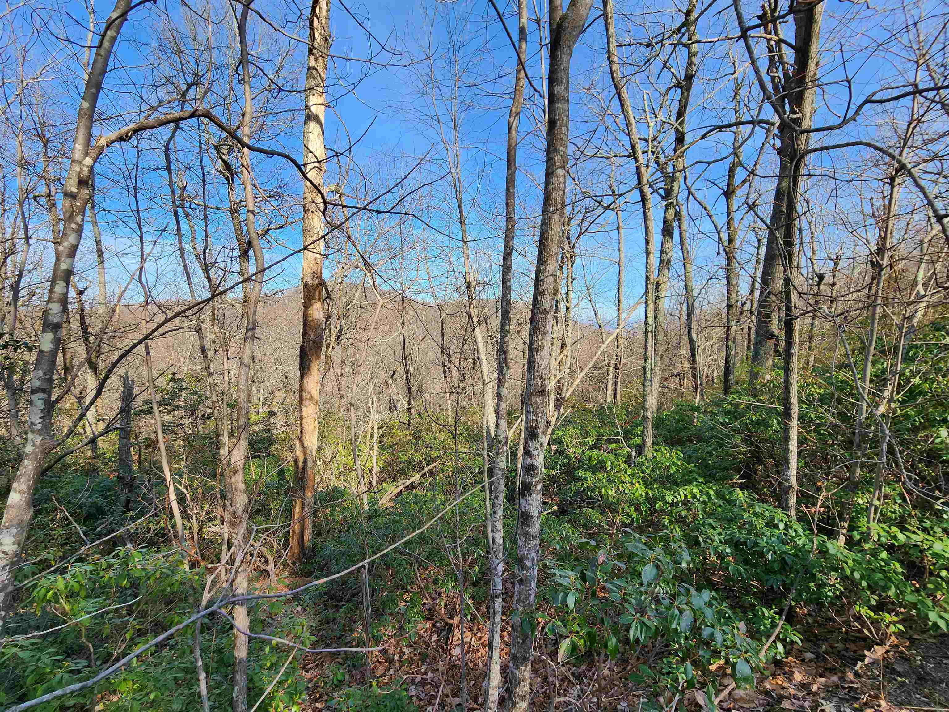 Lot 22 Sunset Ridge Drive Columbus, NC 28722 - Photo 3 of 20