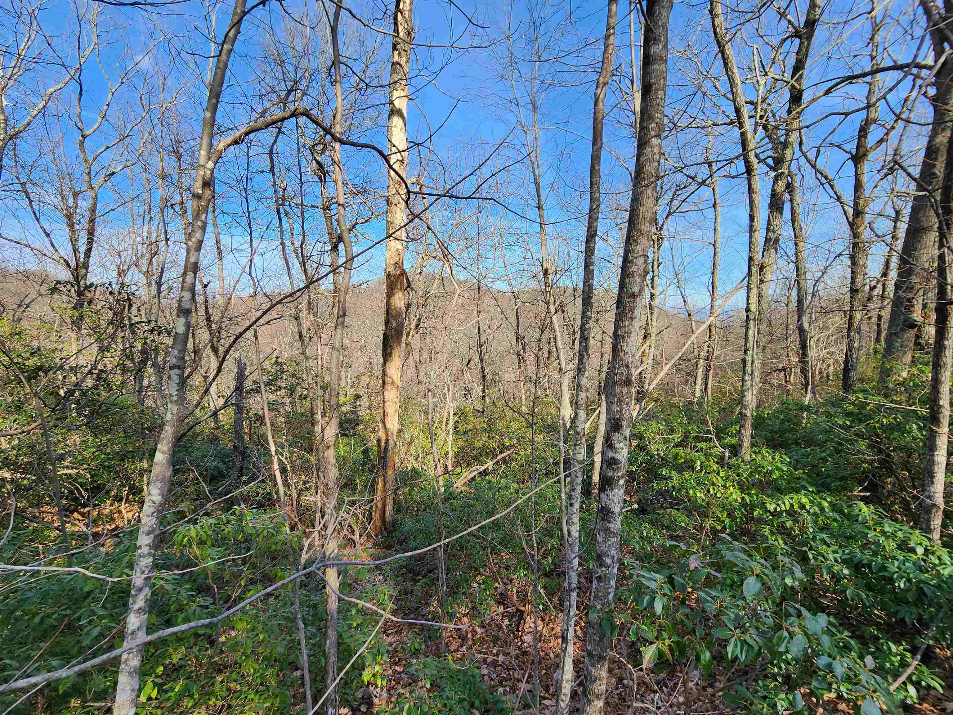 Lot 22 Sunset Ridge Drive Columbus, NC 28722 - Photo 4 of 20