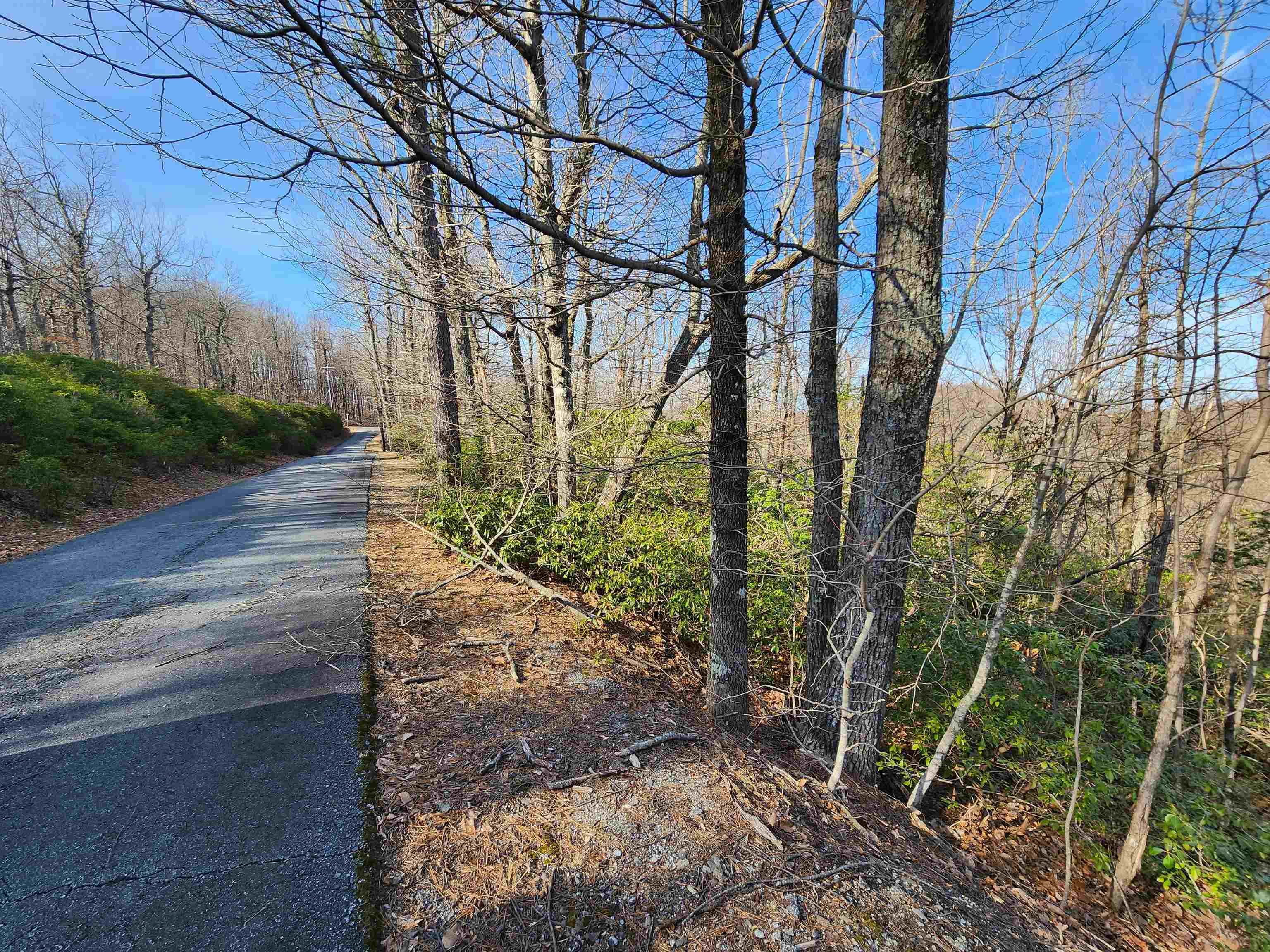 Lot 22 Sunset Ridge Drive Columbus, NC 28722 - Photo 10 of 20