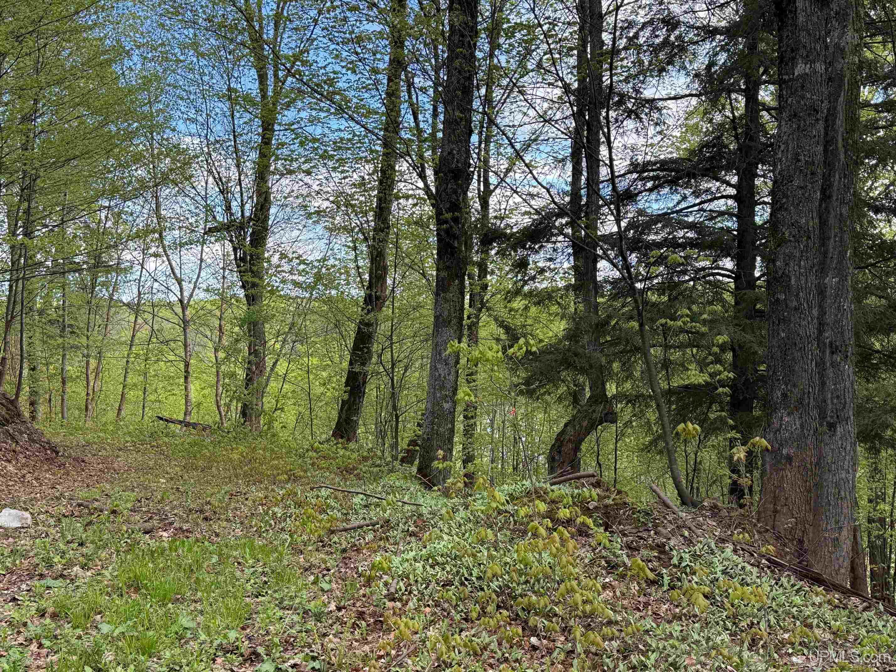 Tbd10 Baraga Plains Road Lanse, MI 49946 - Photo 11 of 19