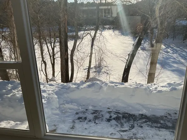 a backyard of a house