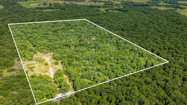 $350,000 | 1 Timber Oaks Lane, Boyd, TX 76023