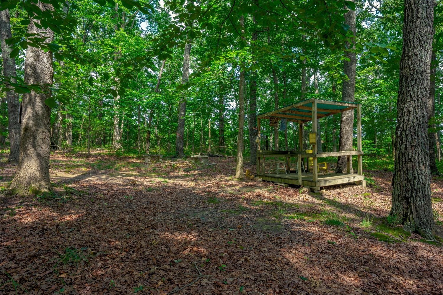 124 Napier Road Hohenwald, TN 38462 - Photo 74 of 83