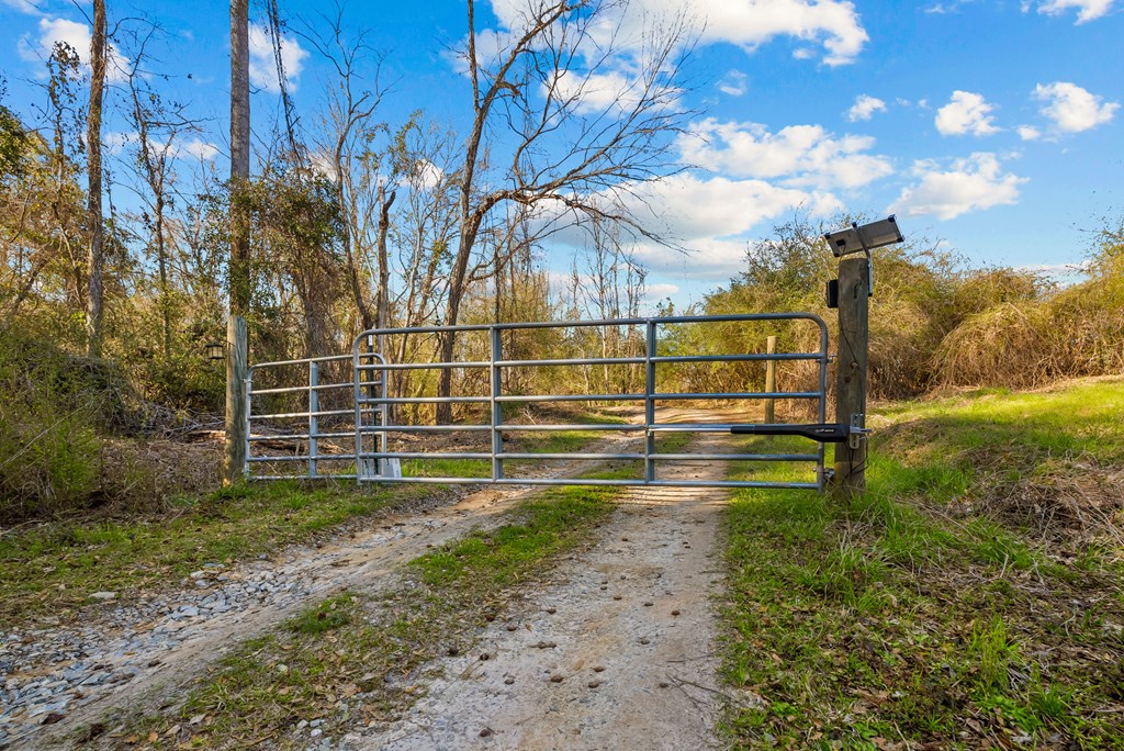 26 Dan Brinson Road Lumpkin, GA 31815 - Photo 43 of 50 power entrance gate