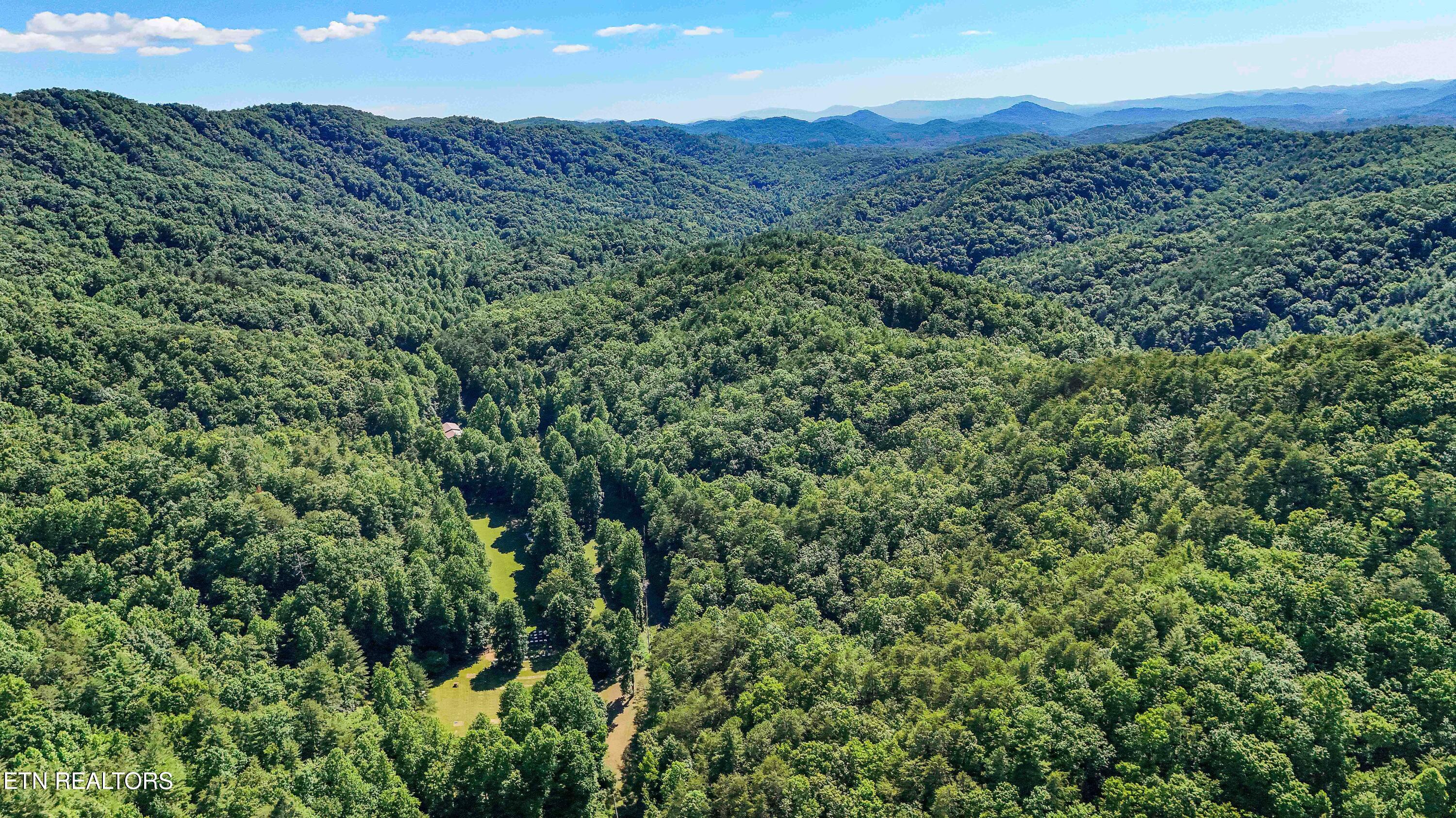1151 Chestnut Valley Road Vonore, TN 37885 - Photo 42 of 57 DJI_20260604165520_0021_D