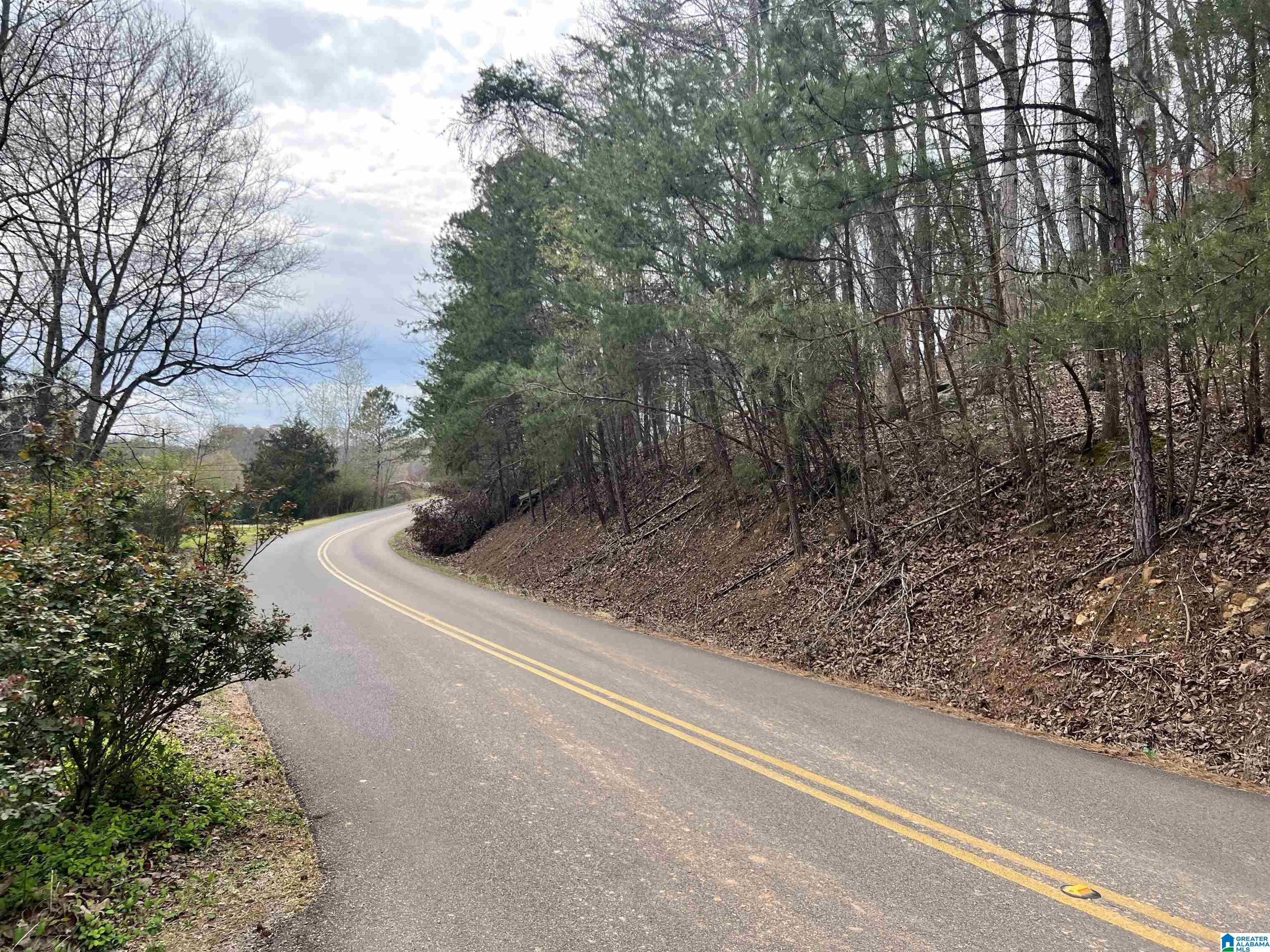 5600 Miles Spring Road, Unit 5600 Pinson, AL 35126 - Photo 1 of 5