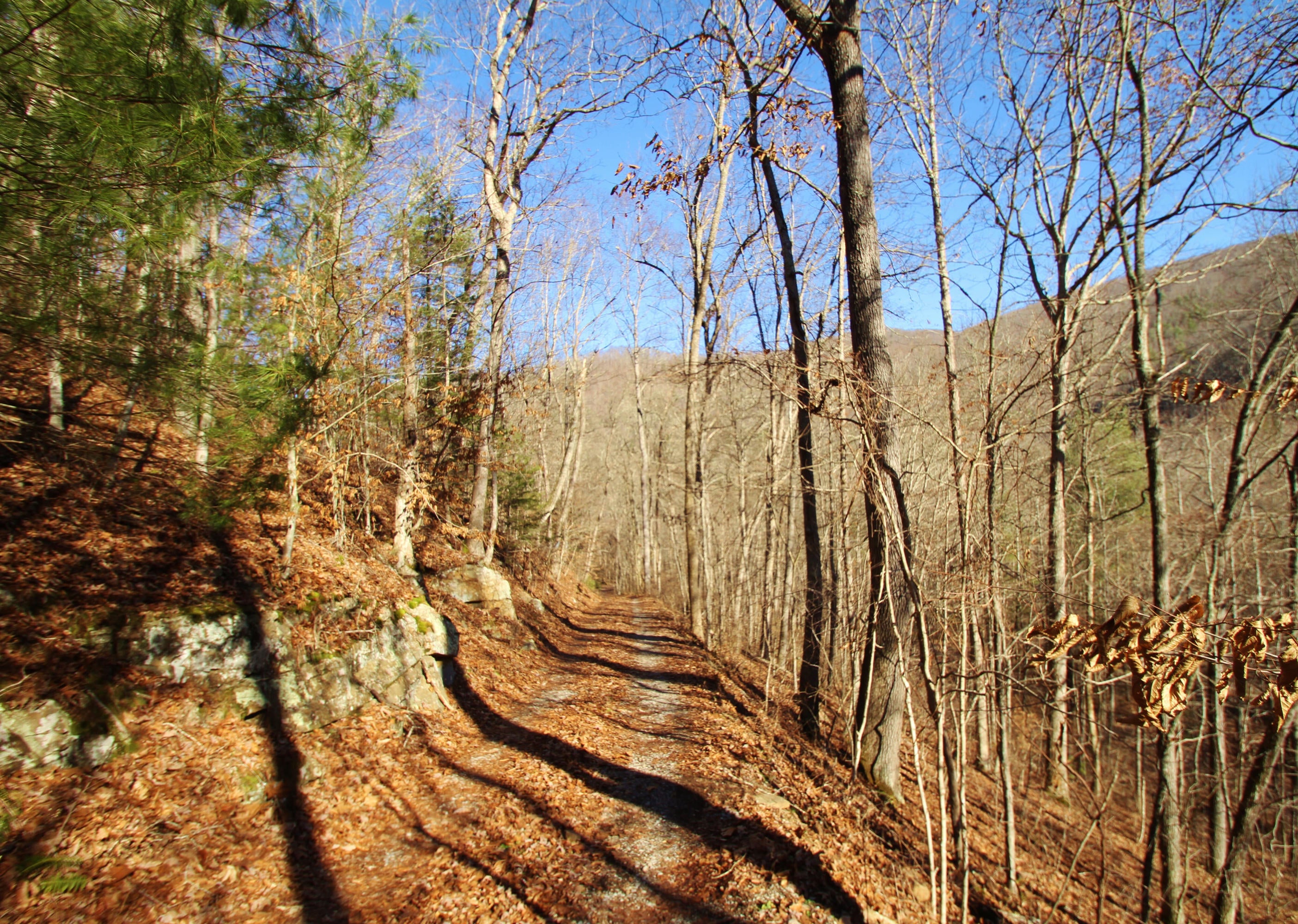30-2 Co Route Lewisburg, WV 24901 - Photo 11 of 19 Gallery Image 11