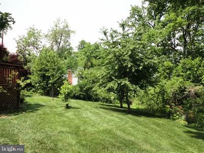 6024 Bayview Road, Unit 2 St. Leonard, MD 20685 - Photo 16 of 18 Many fruit trees in yard