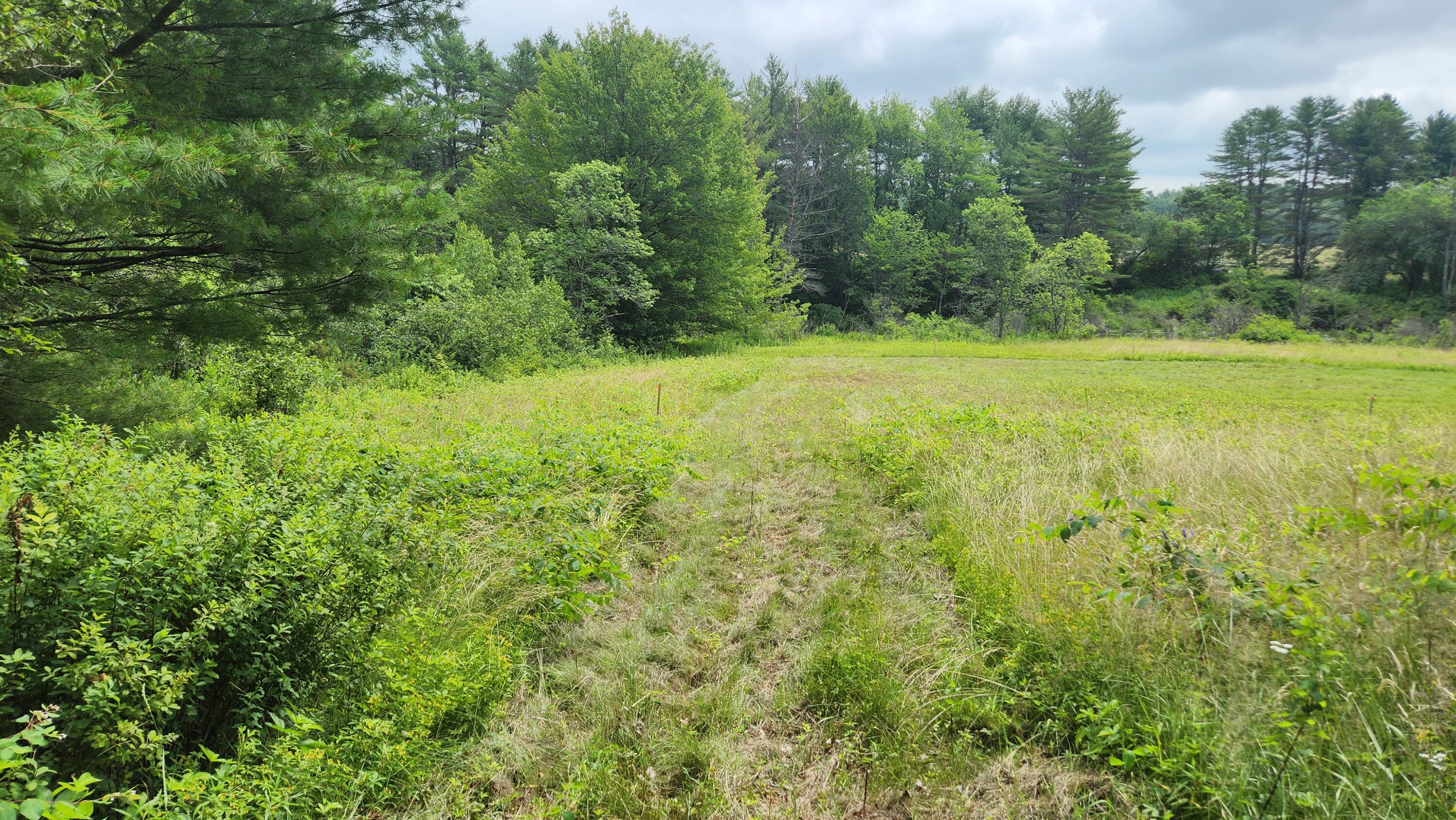 0 Dana Mill Road Woolwich, ME 04579 - Photo 2 of 26