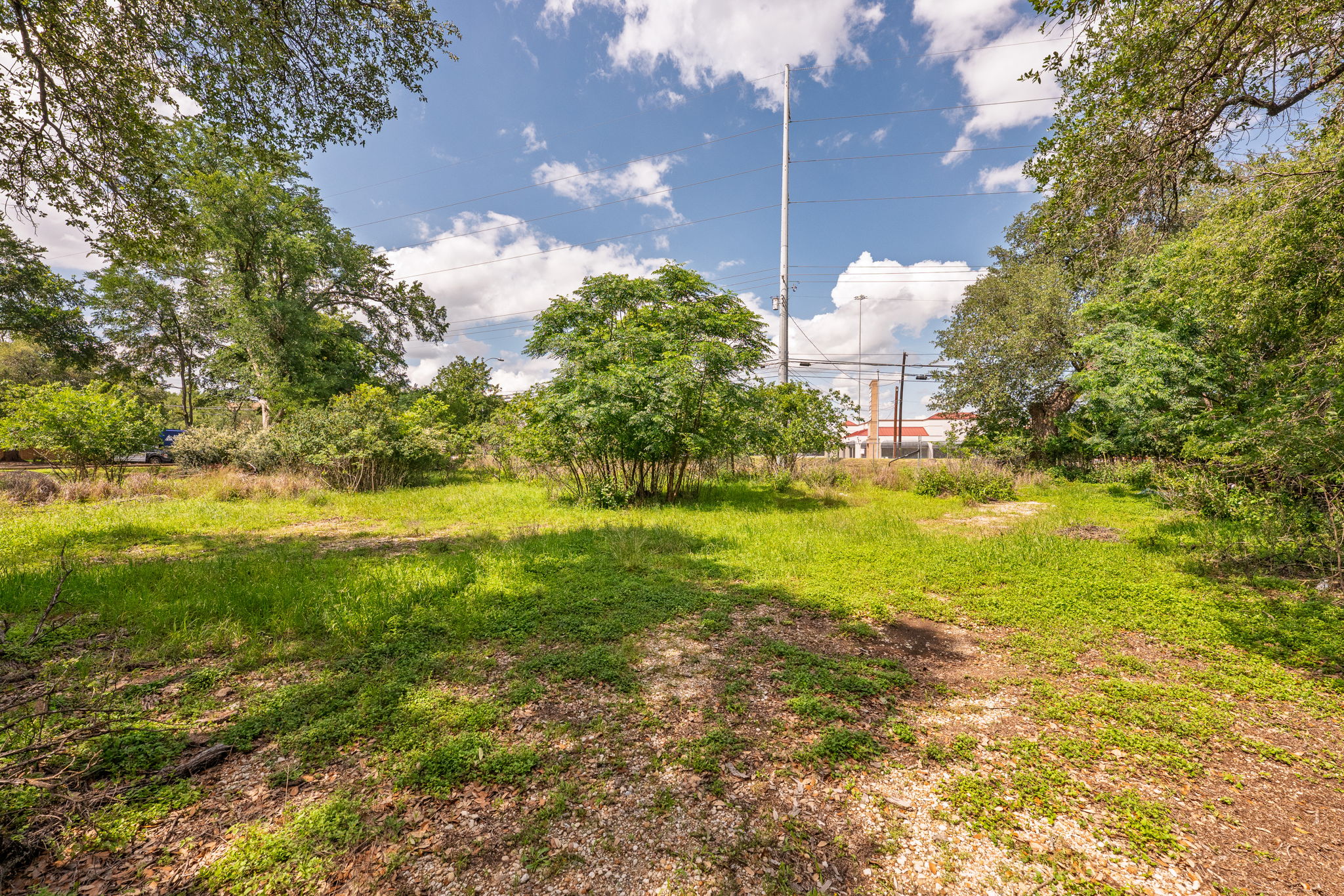 12182 Jollyville Road Austin, TX 78759 - Photo 16 of 25 Expansive green space with mature trees and varied foliage