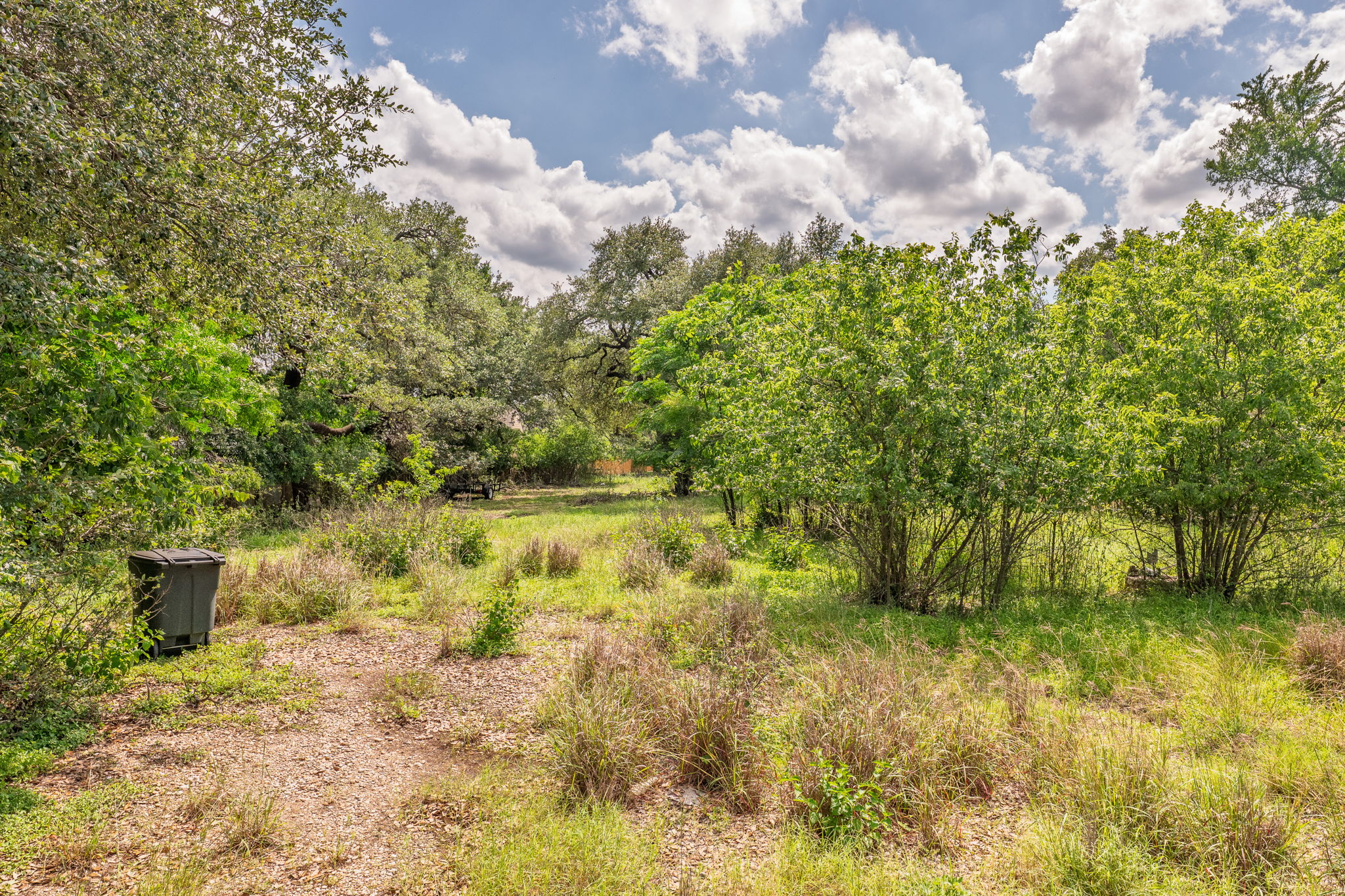 12182 Jollyville Road Austin, TX 78759 - Photo 4 of 25 Expansive green space featuring a mix of mature trees and established shrubs