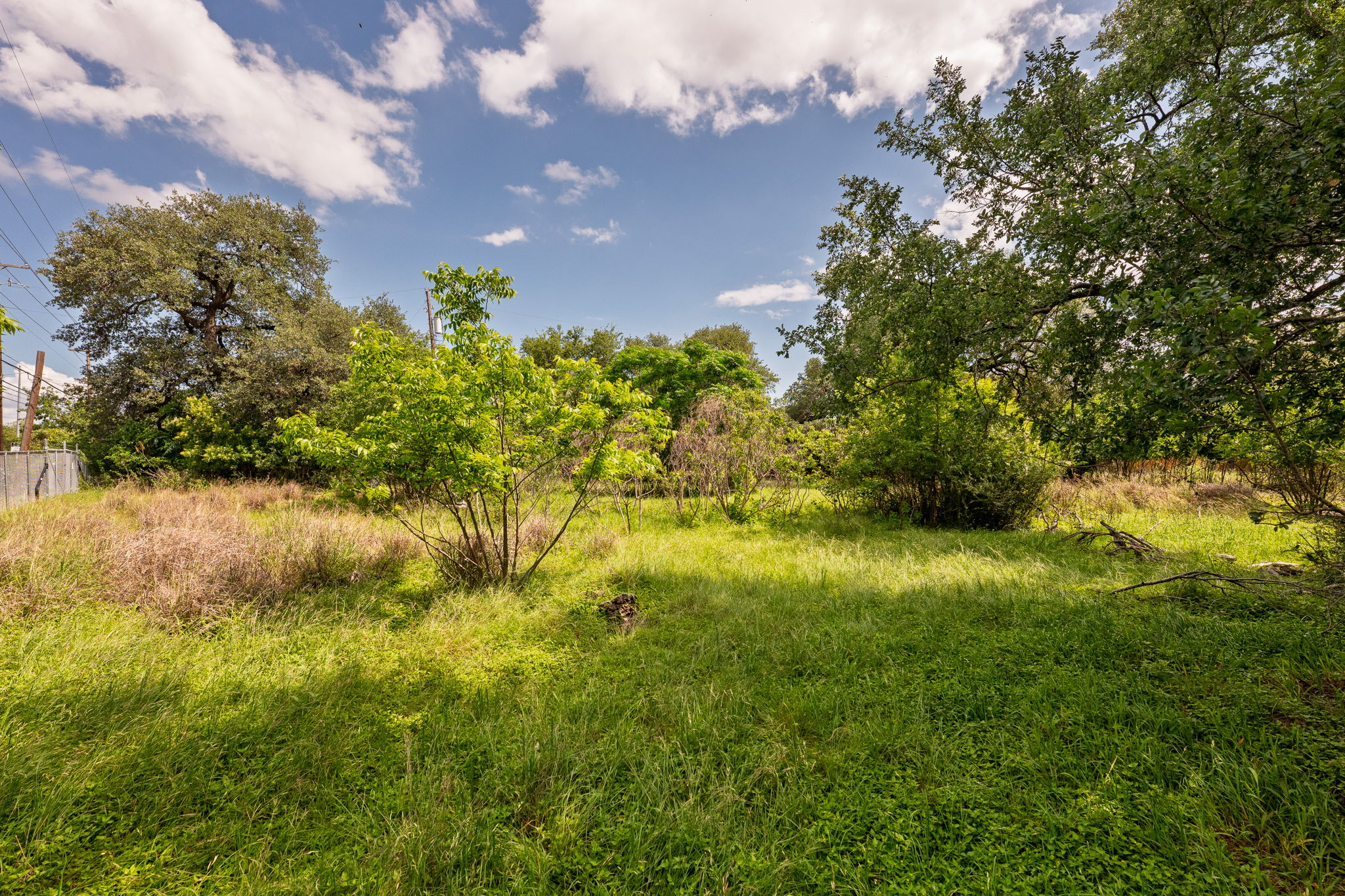 12182 Jollyville Road Austin, TX 78759 - Photo 6 of 25 Expansive natural landscape featuring varied foliage and mature trees