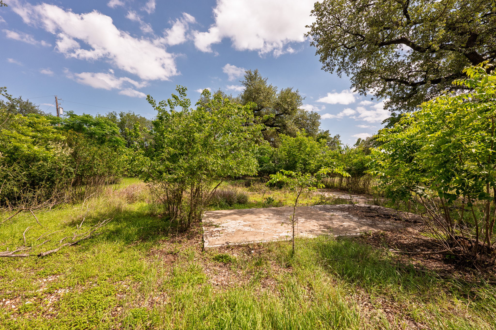 12182 Jollyville Road Austin, TX 78759 - Photo 7 of 25 Expansive lot featuring a concrete slab foundation, mature trees, and natural foliage