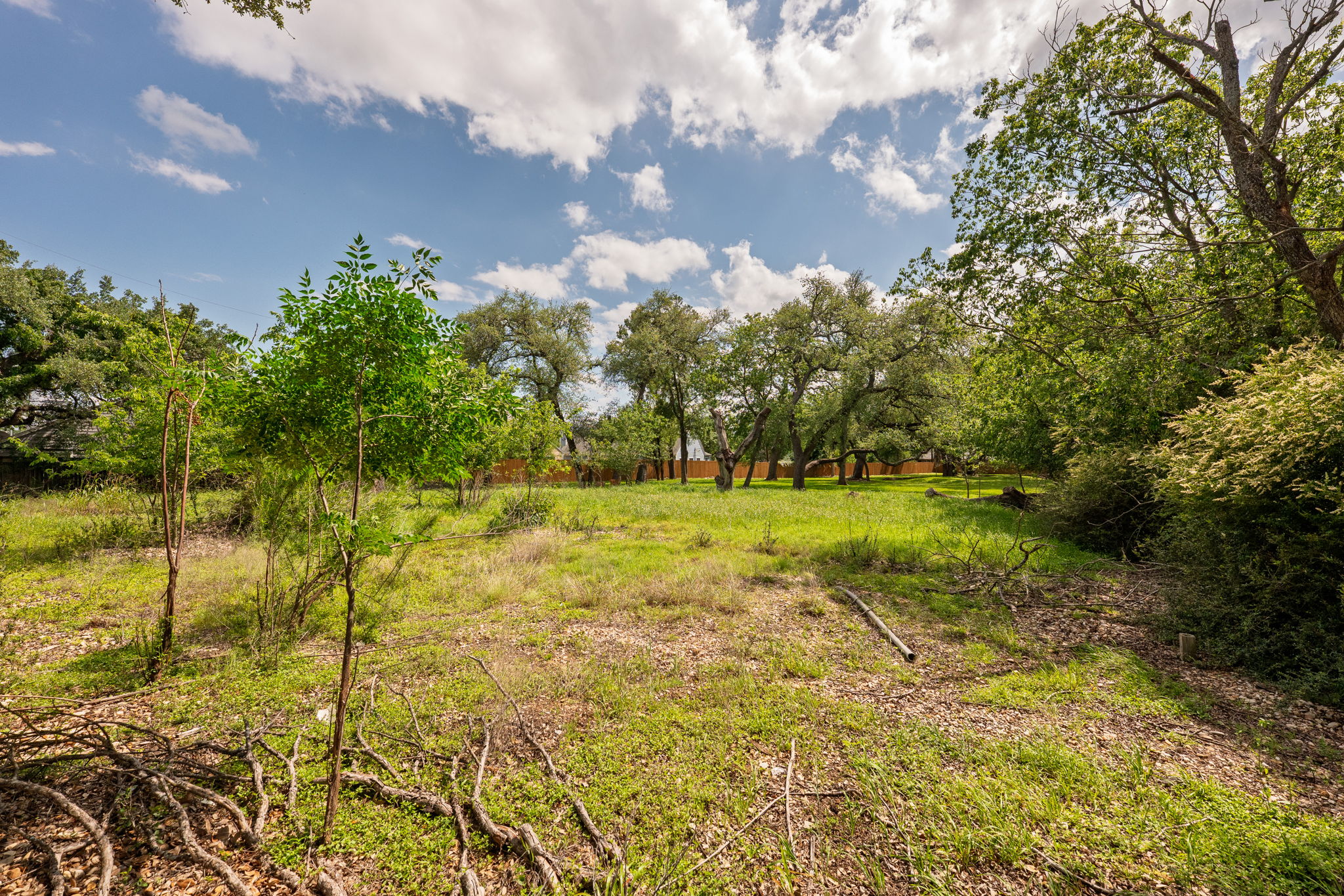 12182 Jollyville Road Austin, TX 78759 - Photo 8 of 25 Expansive natural lot with mature trees and varied foliage