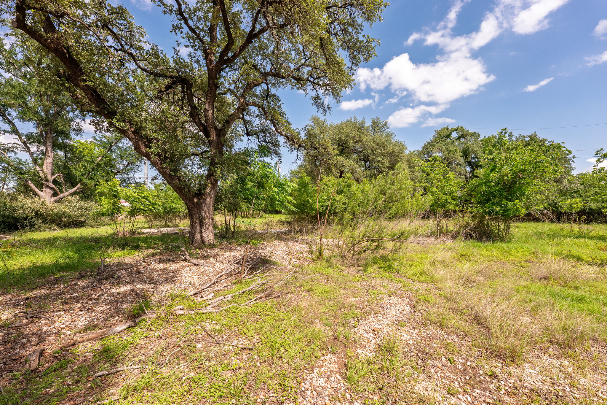 12182 Jollyville Road Austin, TX 78759 - Photo 9 of 25 Expansive natural landscape featuring established trees and varied vegetation