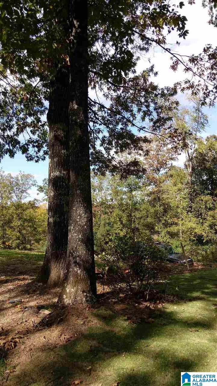 1804 Winewood Road, Unit 1 Birmingham, AL 35215 - Photo 1 of 1