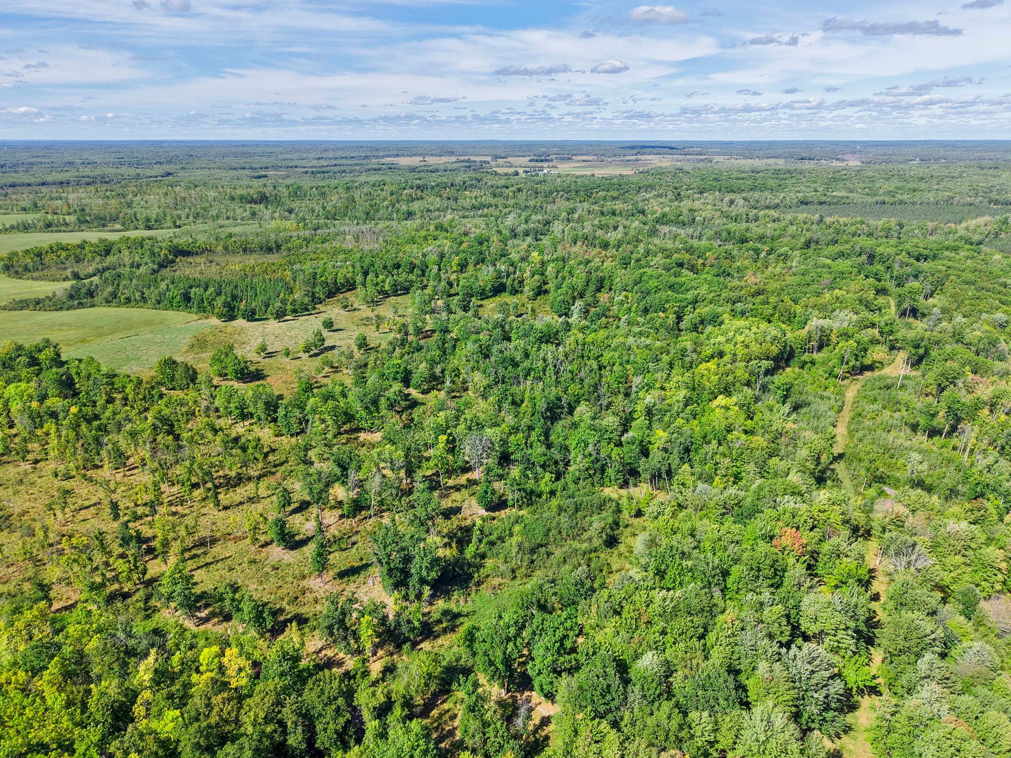Xxx Fleming Logging Road Hinckley, MN 55037 - Photo 53 of 87 Gallery Image 53