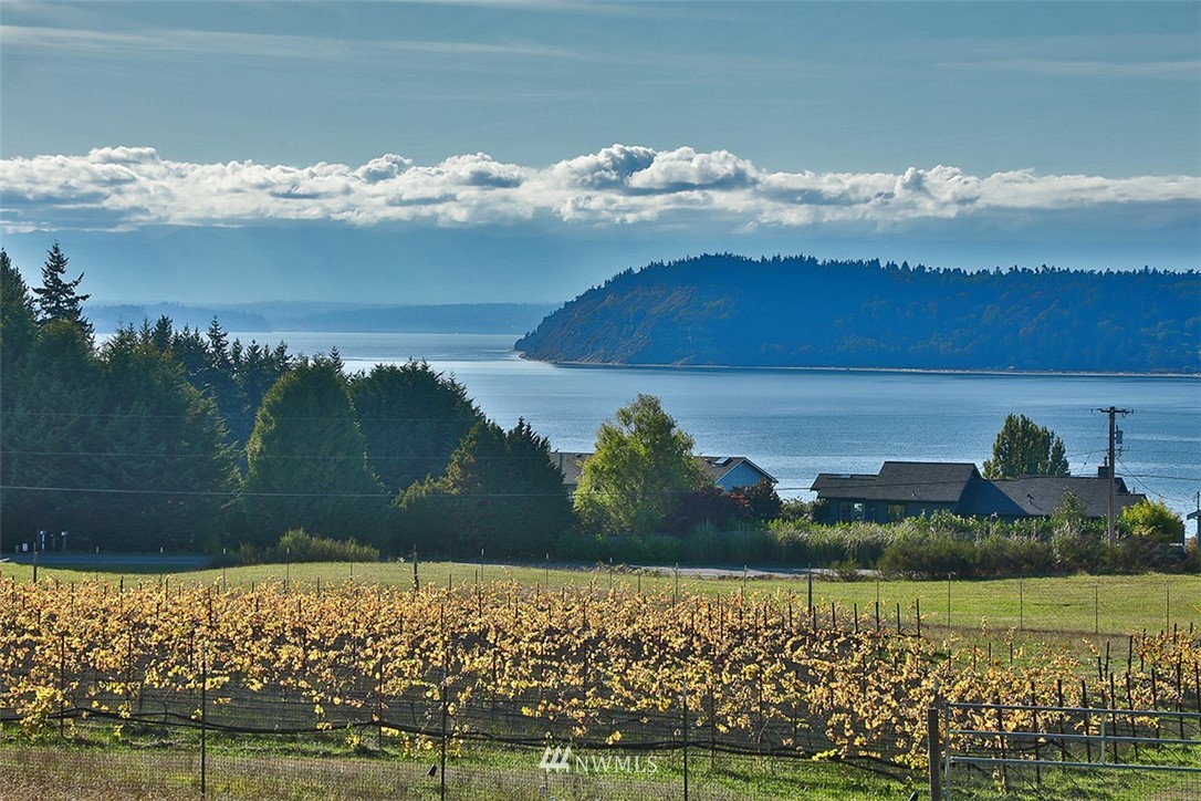 4 Countner Court Clinton, WA 98236 - Photo 1 of 36 Gallery Image 1