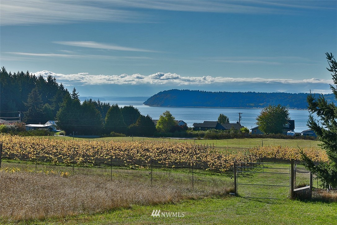 4 Countner Court Clinton, WA 98236 - Photo 2 of 36 Gallery Image 2