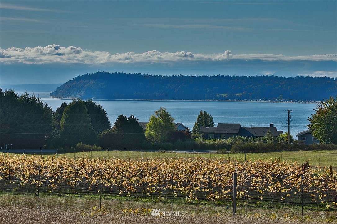 4 Countner Court Clinton, WA 98236 - Photo 14 of 36 Gallery Image 14