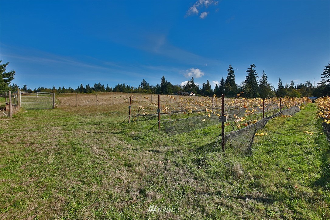 4 Countner Court Clinton, WA 98236 - Photo 10 of 36 Gallery Image 10