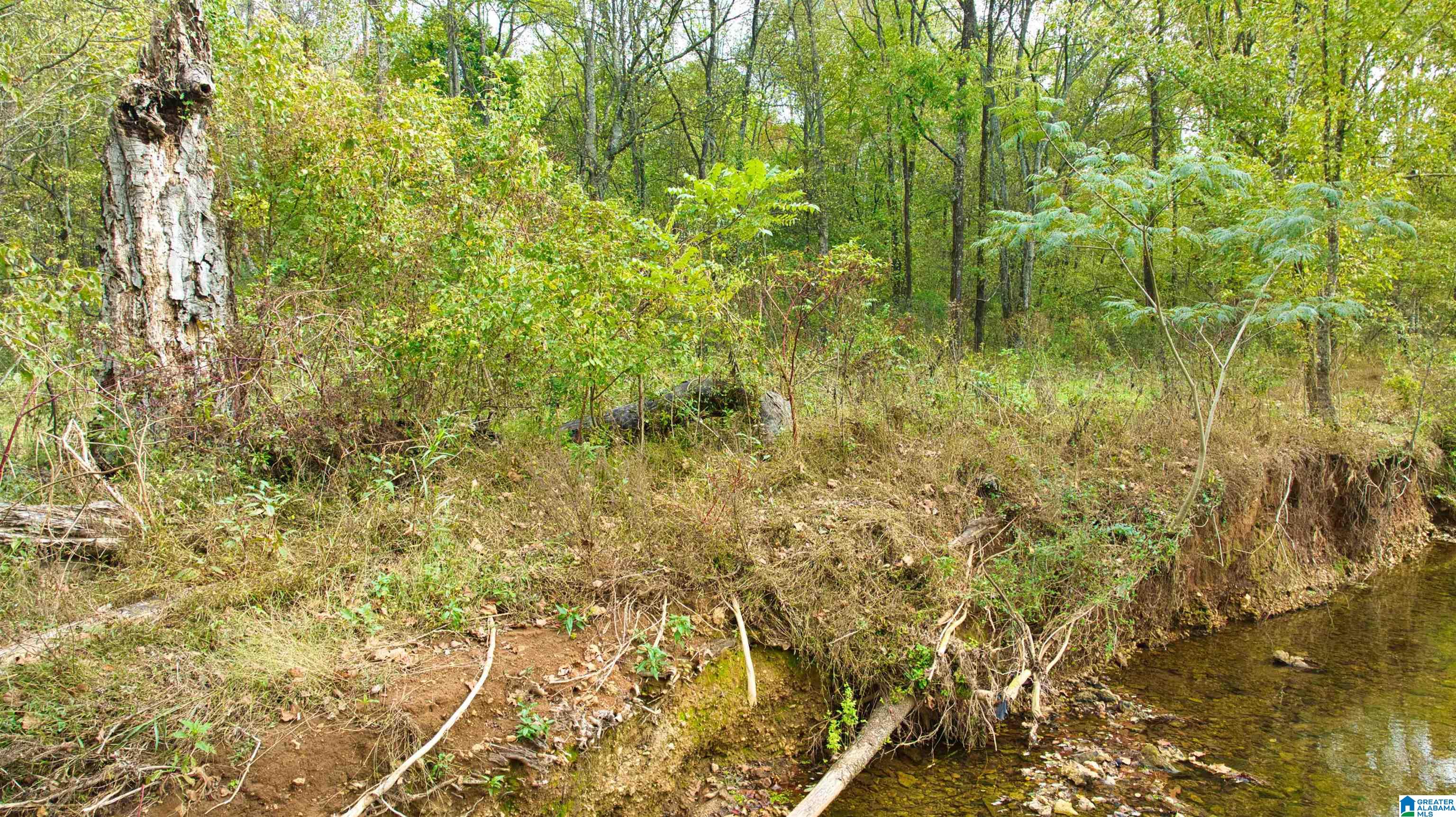 0 South Love Branch Road Toney, AL 35773 - Photo 13 of 26