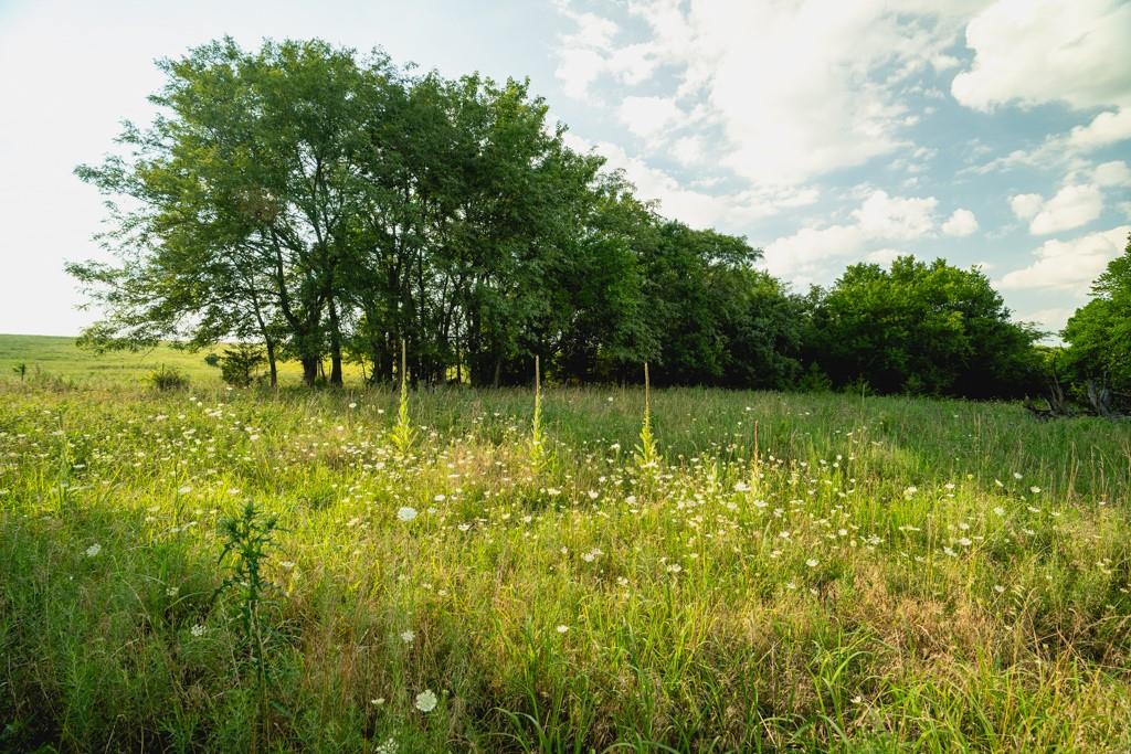 550 California Road Williamsburg, KS 66095 - Photo 13 of 75 Gallery Image 13