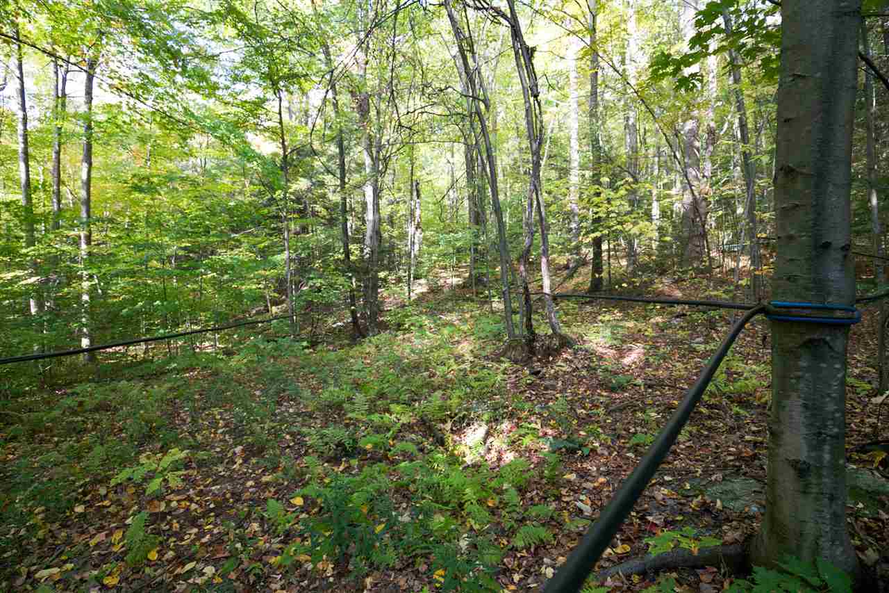 159 Lost Road St. George, VT 05495 - Photo 37 of 40