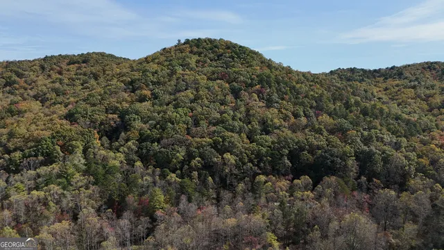 an aerial view of a house with a yard and lake view