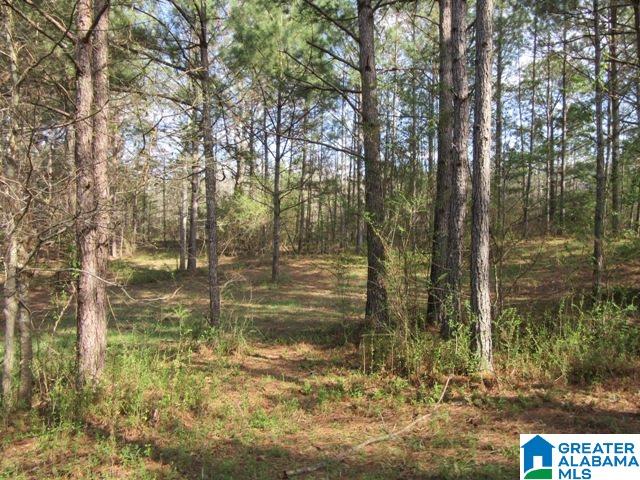 229 County Road, Unit 29 Thorsby, AL 35171 - Photo 14 of 23