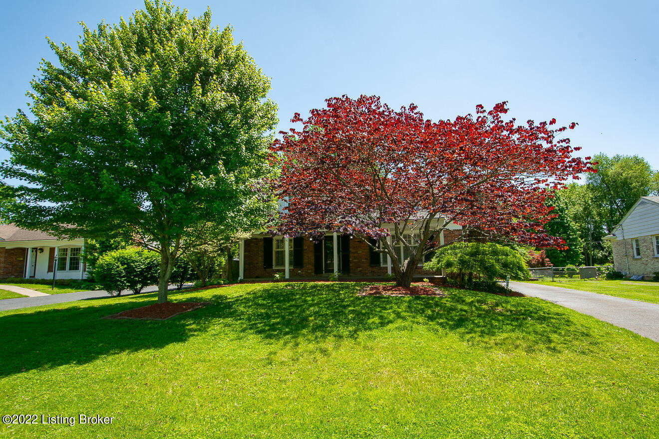 8604 Charing Cross Road Louisville, KY 40222 - Photo 57 of 57 Front of home