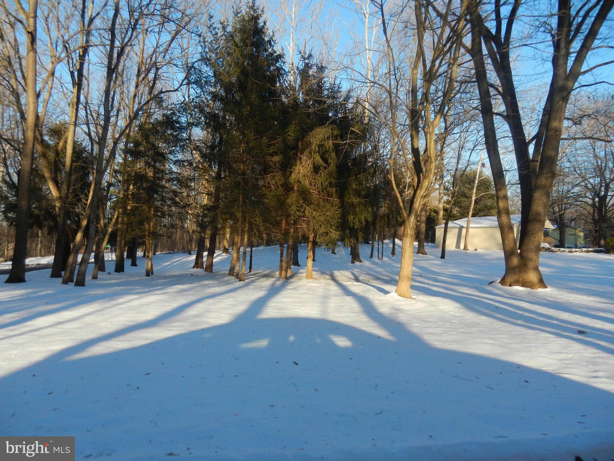 562 Lockhouse Road Falling Waters, WV 25419 - Photo 4 of 29 a view of road with trees